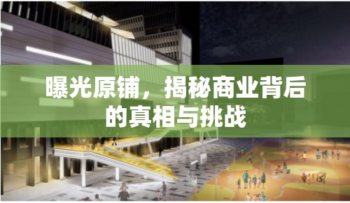 曝光原鋪，揭秘商業(yè)背后的真相與挑戰(zhàn)