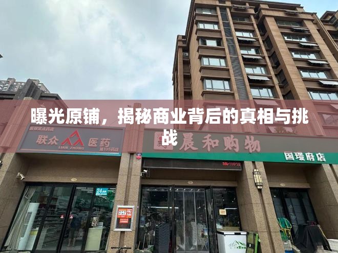 曝光原鋪，揭秘商業(yè)背后的真相與挑戰(zhàn)