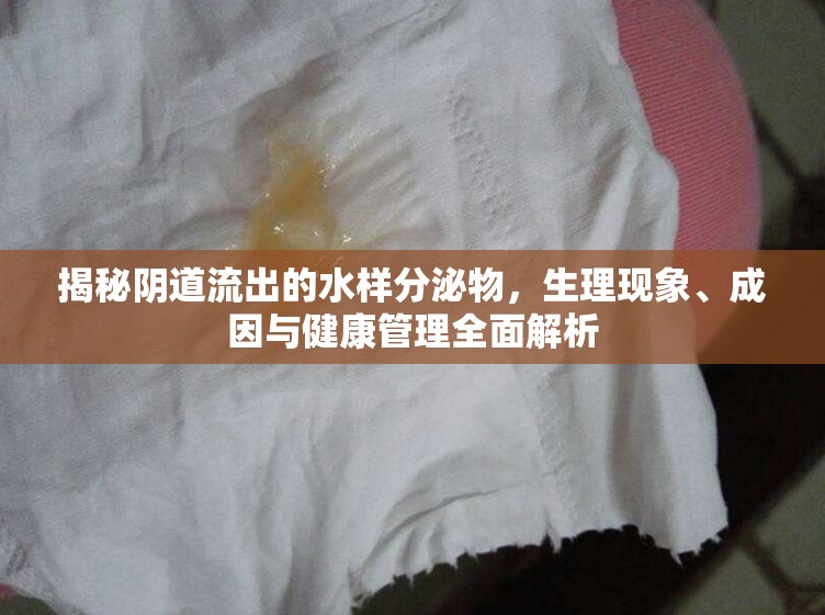 揭秘陰道流出的水樣分泌物，生理現(xiàn)象、成因與健康管理全面解析