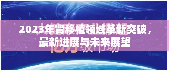 2023年腎移植領域革新突破，最新進展與未來展望