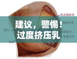 建議，警惕！過度擠壓乳頭可能導(dǎo)致異常液體流出