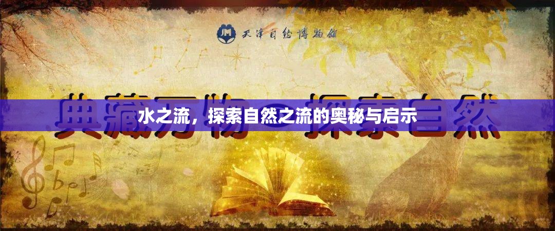 水之流，探索自然之流的奧秘與啟示