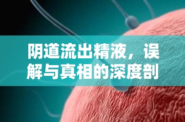 陰道流出精液，誤解與真相的深度剖析