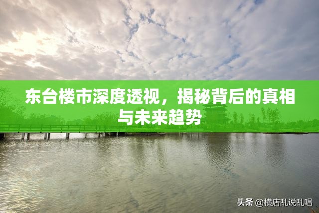 東臺樓市深度透視，揭秘背后的真相與未來趨勢