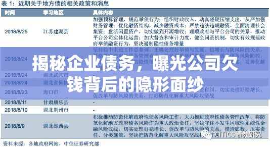 揭秘企業(yè)債務(wù)，曝光公司欠錢背后的隱形面紗