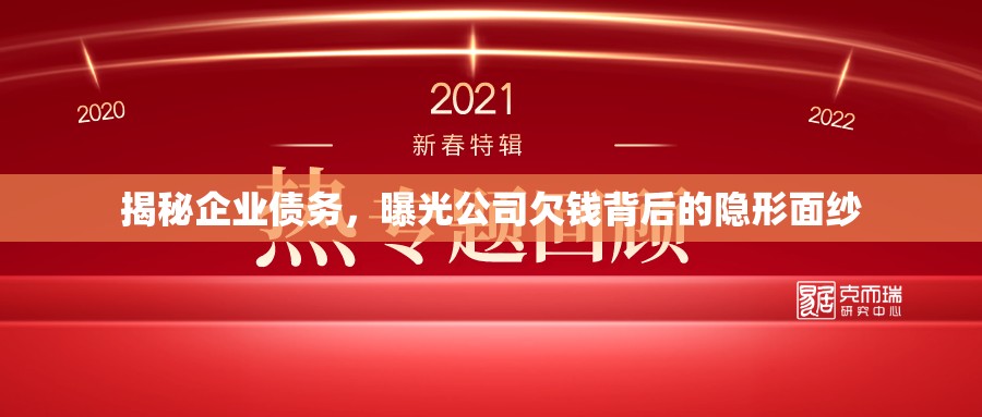 揭秘企業(yè)債務(wù)，曝光公司欠錢背后的隱形面紗