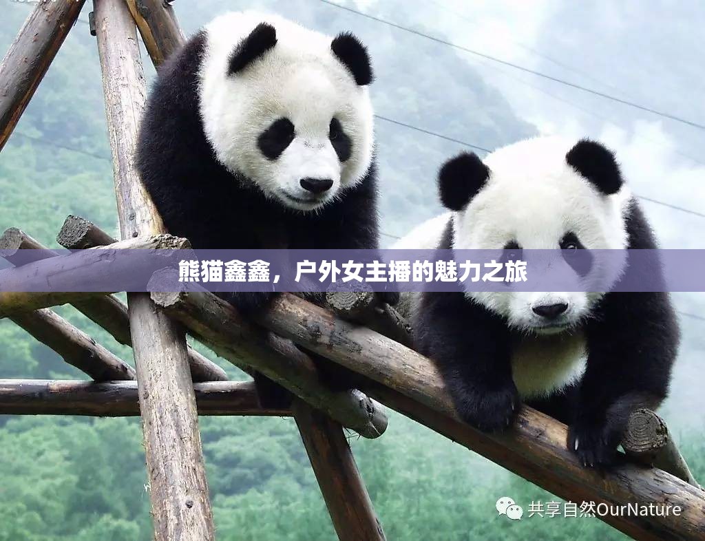 熊貓鑫鑫，戶外女主播的魅力之旅