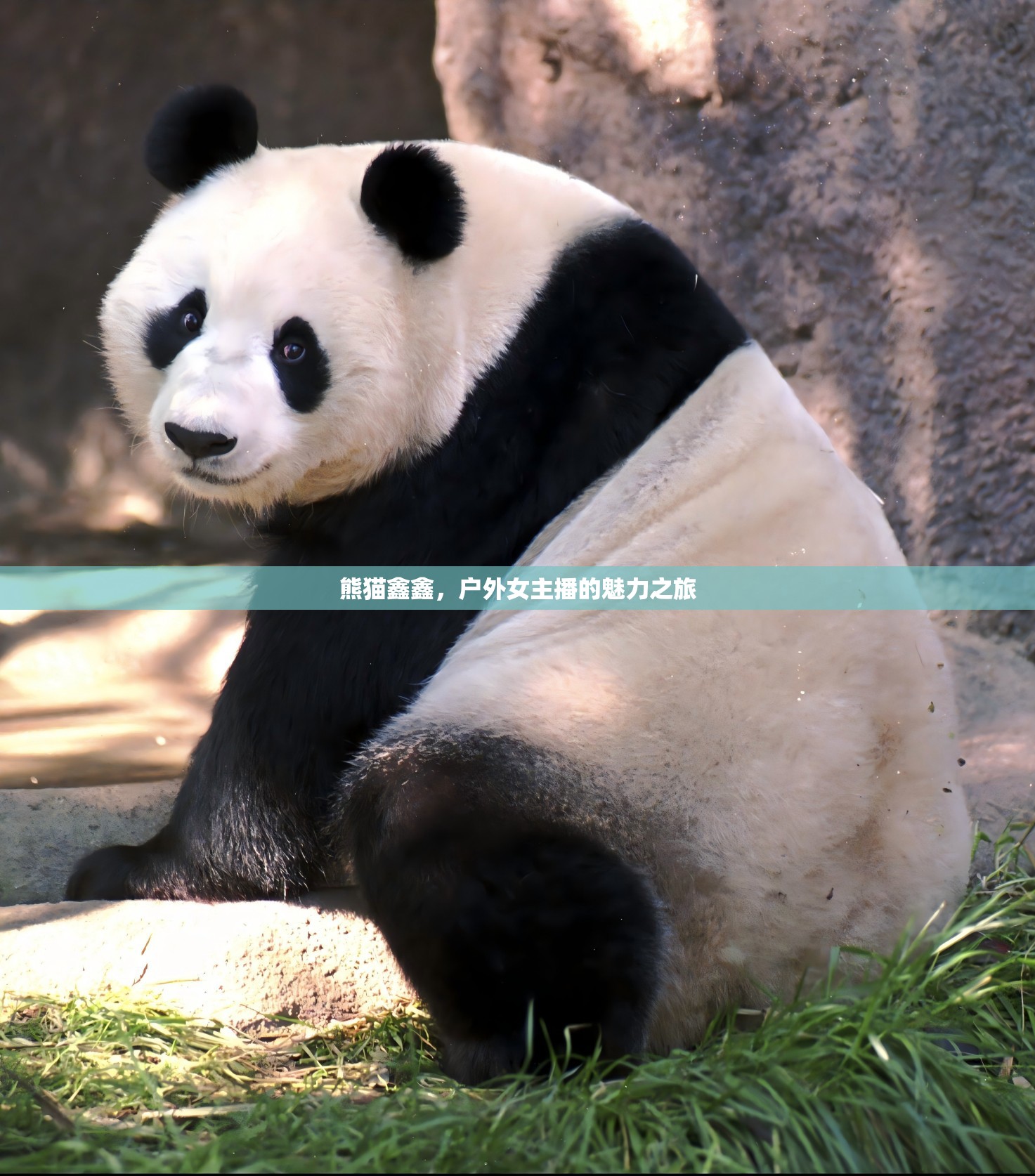 熊貓鑫鑫，戶外女主播的魅力之旅
