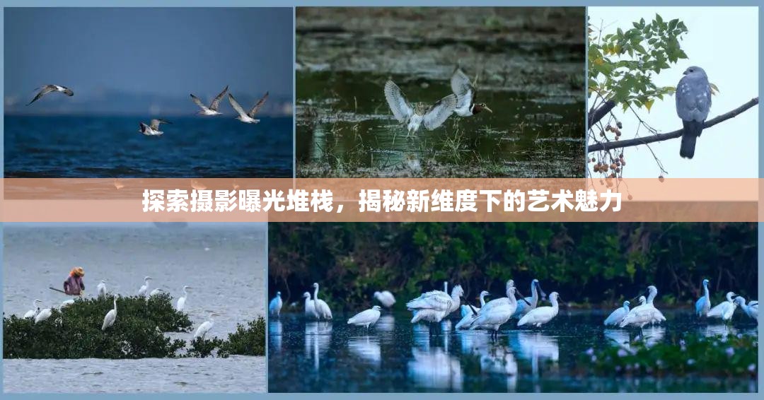 探索攝影曝光堆棧，揭秘新維度下的藝術魅力