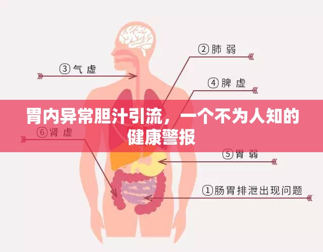 胃內(nèi)異常膽汁引流，一個(gè)不為人知的健康警報(bào)