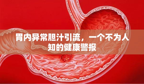 胃內(nèi)異常膽汁引流，一個(gè)不為人知的健康警報(bào)