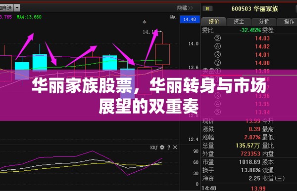 華麗家族股票，華麗轉(zhuǎn)身與市場(chǎng)展望的雙重奏
