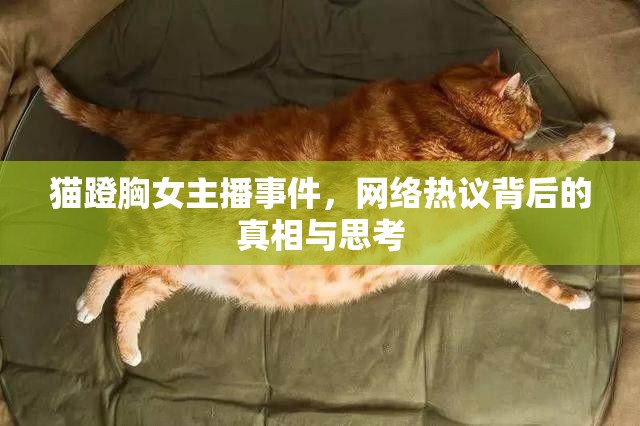 貓蹬胸女主播事件，網(wǎng)絡(luò)熱議背后的真相與思考