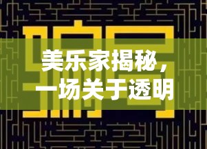 美樂家揭秘，一場關(guān)于透明與真相的曝光視頻風暴