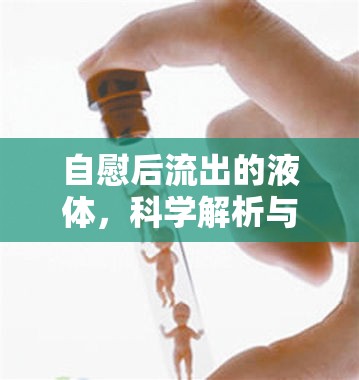 自慰后流出的液體，科學(xué)解析與健康指南