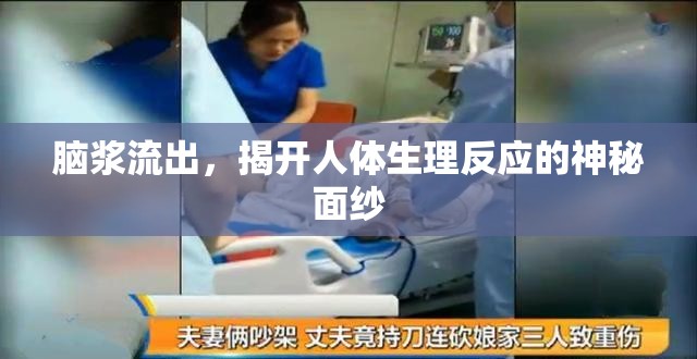 腦漿流出，揭開人體生理反應(yīng)的神秘面紗