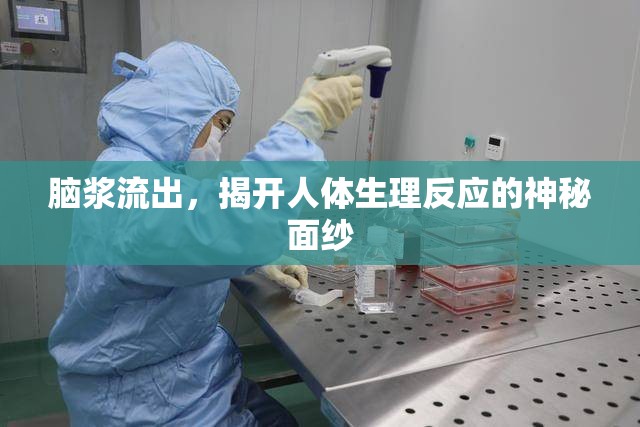 腦漿流出，揭開人體生理反應(yīng)的神秘面紗