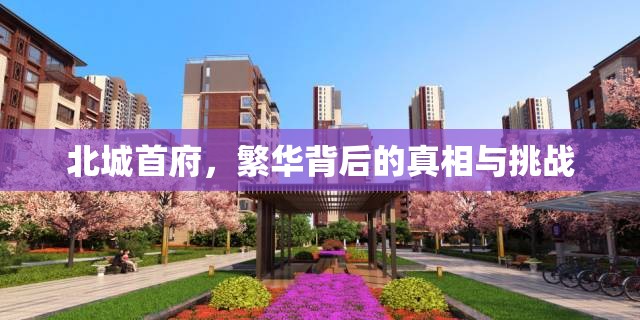 北城首府，繁華背后的真相與挑戰(zhàn)