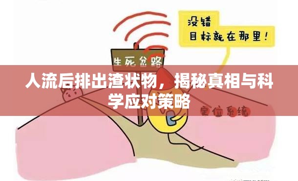 人流后排出渣狀物，揭秘真相與科學(xué)應(yīng)對(duì)策略