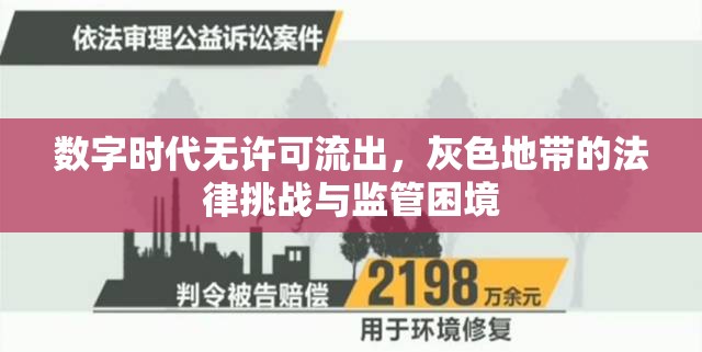 數(shù)字時(shí)代無許可流出，灰色地帶的法律挑戰(zhàn)與監(jiān)管困境