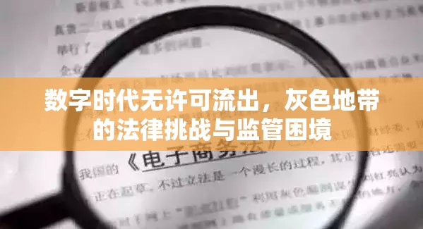 數(shù)字時(shí)代無許可流出，灰色地帶的法律挑戰(zhàn)與監(jiān)管困境