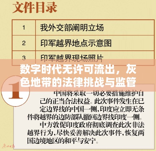 數(shù)字時(shí)代無許可流出，灰色地帶的法律挑戰(zhàn)與監(jiān)管困境