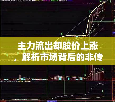 主力流出卻股價上漲，解析市場背后的非傳統(tǒng)邏輯
