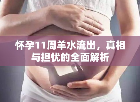 懷孕11周羊水流出，真相與擔(dān)憂的全面解析