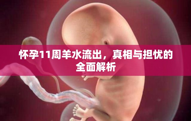 懷孕11周羊水流出，真相與擔(dān)憂的全面解析