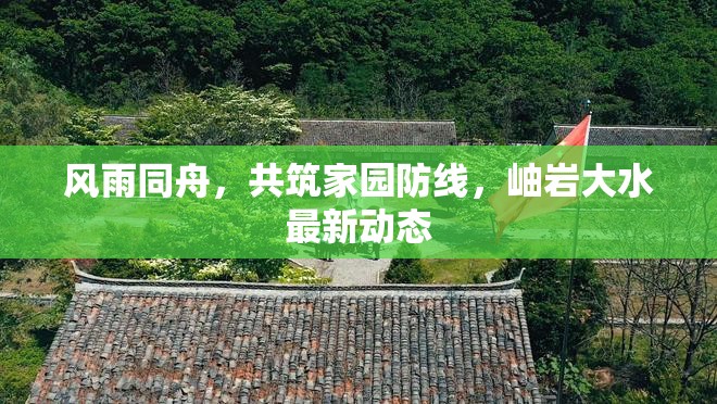 風雨同舟，共筑家園防線，岫巖大水最新動態(tài)