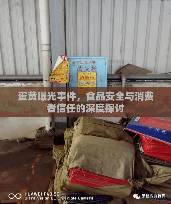 蛋黃曝光事件，食品安全與消費者信任的深度探討