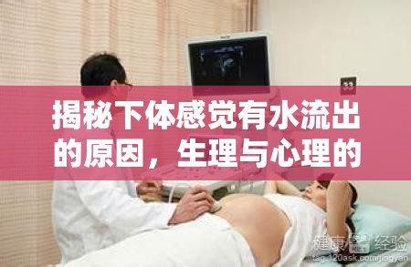 揭秘下體感覺(jué)有水流出的原因，生理與心理的全面解析