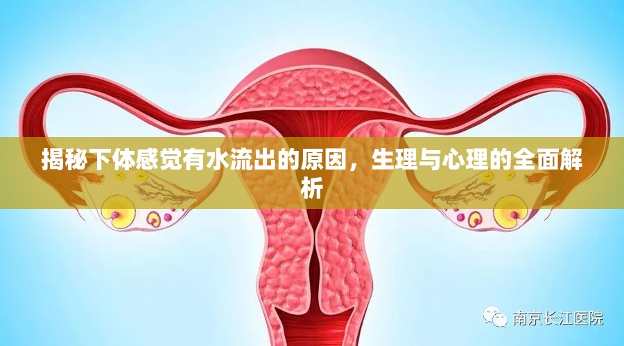 揭秘下體感覺(jué)有水流出的原因，生理與心理的全面解析