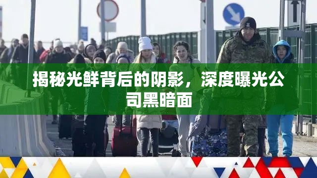 揭秘光鮮背后的陰影，深度曝光公司黑暗面