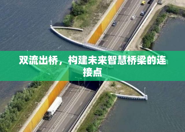 雙流出橋，構(gòu)建未來(lái)智慧橋梁的連接點(diǎn)