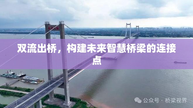 雙流出橋，構(gòu)建未來(lái)智慧橋梁的連接點(diǎn)