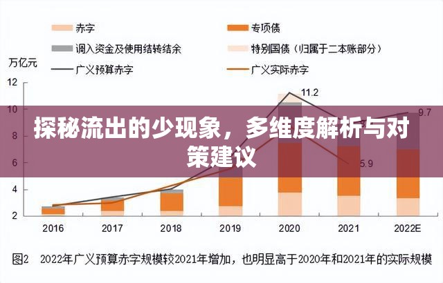 探秘流出的少現(xiàn)象，多維度解析與對(duì)策建議