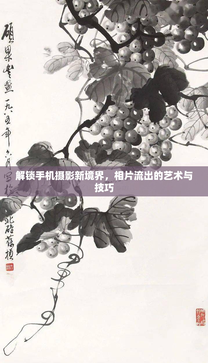 解鎖手機攝影新境界，相片流出的藝術(shù)與技巧