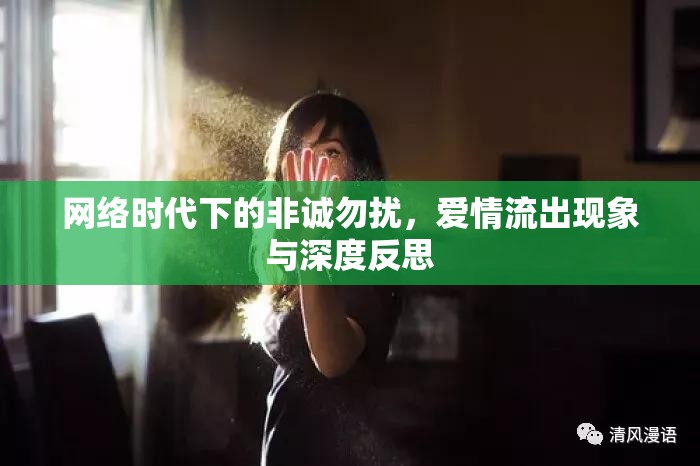 網(wǎng)絡(luò)時代下的非誠勿擾，愛情流出現(xiàn)象與深度反思