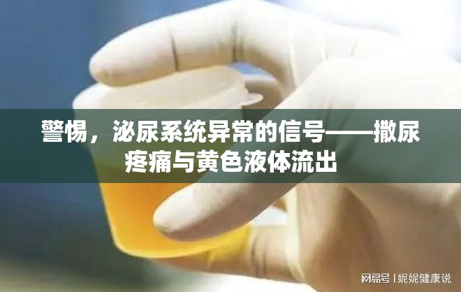 警惕，泌尿系統(tǒng)異常的信號(hào)——撒尿疼痛與黃色液體流出