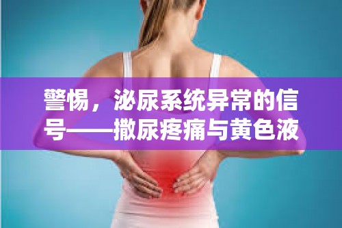 警惕，泌尿系統(tǒng)異常的信號(hào)——撒尿疼痛與黃色液體流出