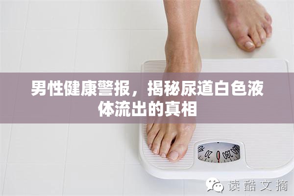 男性健康警報，揭秘尿道白色液體流出的真相