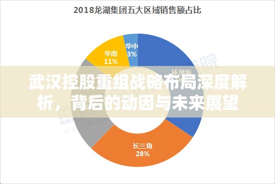 武漢控股重組戰(zhàn)略布局深度解析，背后的動(dòng)因與未來展望