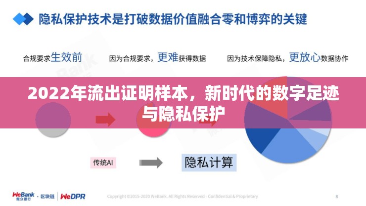 2022年流出證明樣本，新時(shí)代的數(shù)字足跡與隱私保護(hù)