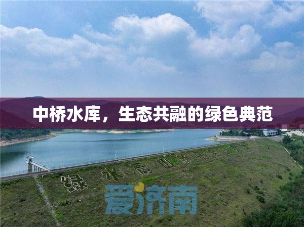 中橋水庫(kù)，生態(tài)共融的綠色典范