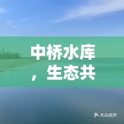 中橋水庫(kù)，生態(tài)共融的綠色典范