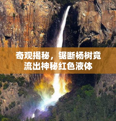 奇觀揭秘，鋸斷楊樹竟流出神秘紅色液體