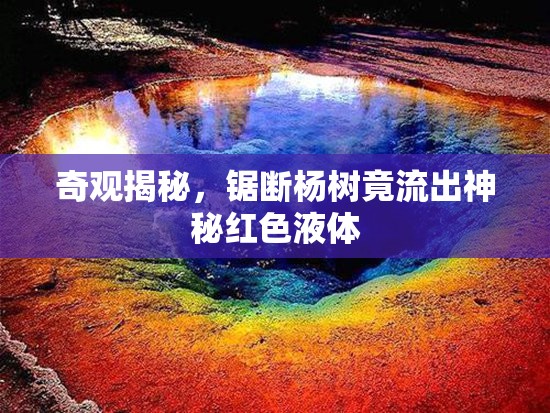 奇觀揭秘，鋸斷楊樹竟流出神秘紅色液體