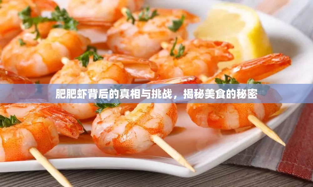 肥肥蝦背后的真相與挑戰(zhàn)，揭秘美食的秘密