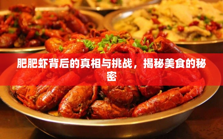 肥肥蝦背后的真相與挑戰(zhàn)，揭秘美食的秘密